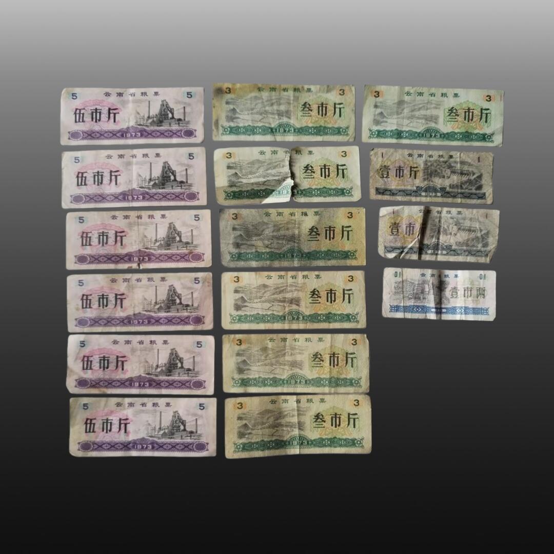 程曦曙光-安欣 粮票28张