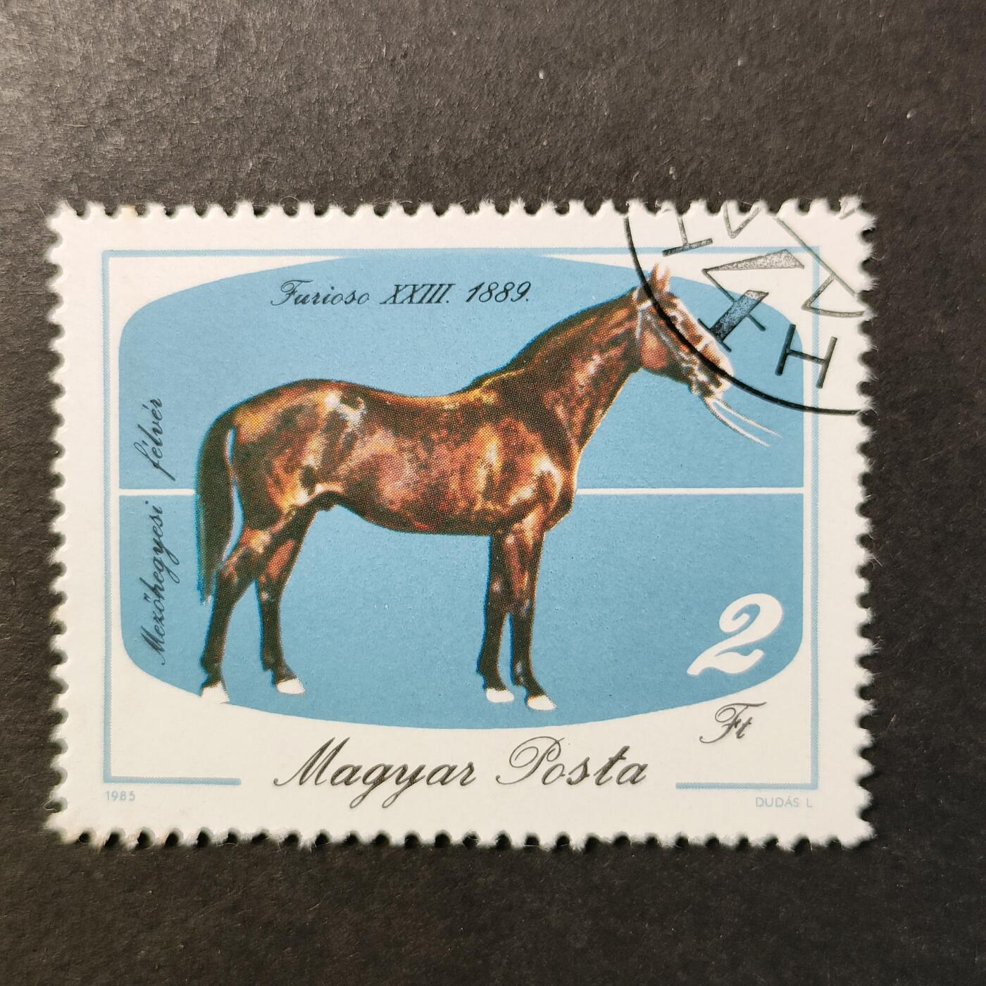 嘉禾收藏    【第425期】            无佣金、可寄存、满30元包邮 邮票一枚