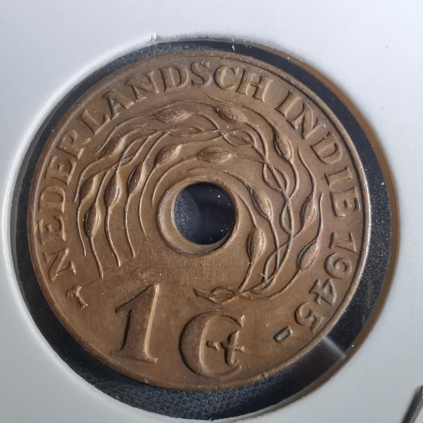 沼泽如烟--第950场