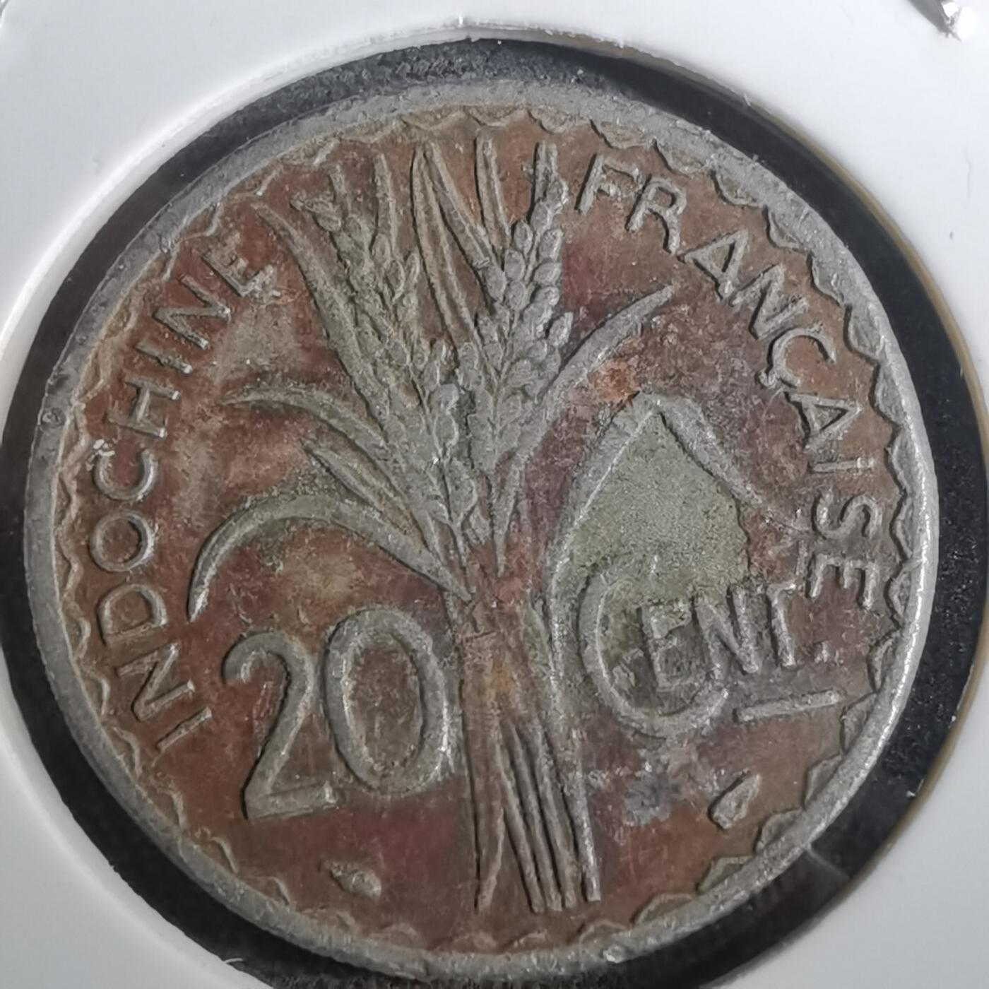 沼泽如烟--第950场