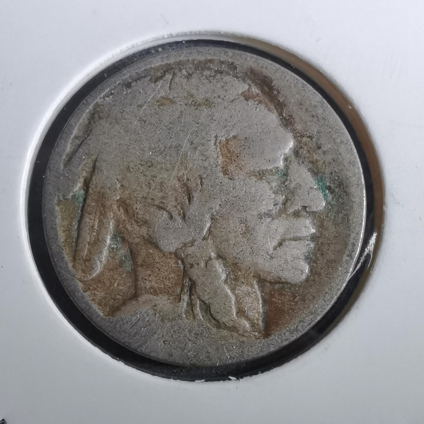 沼泽如烟--第950场 美国五分野牛