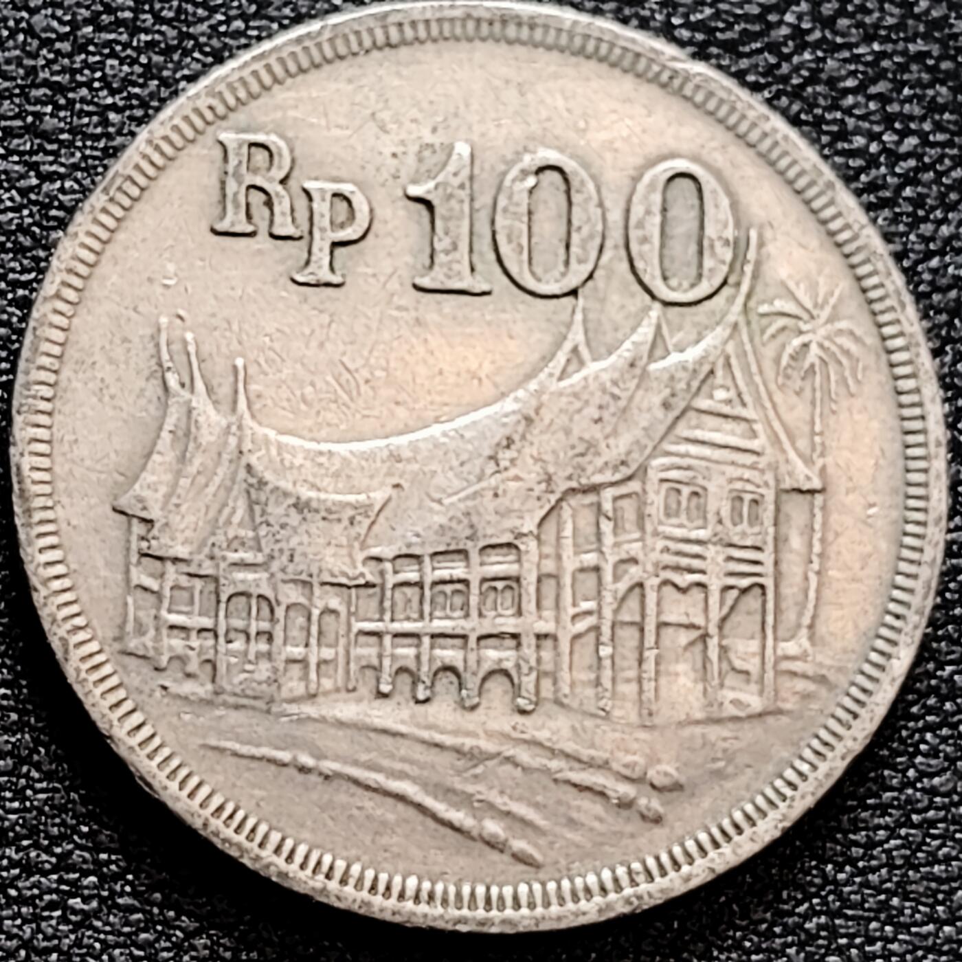 泉币菌-第160场-新年第三场 精品福利场 。