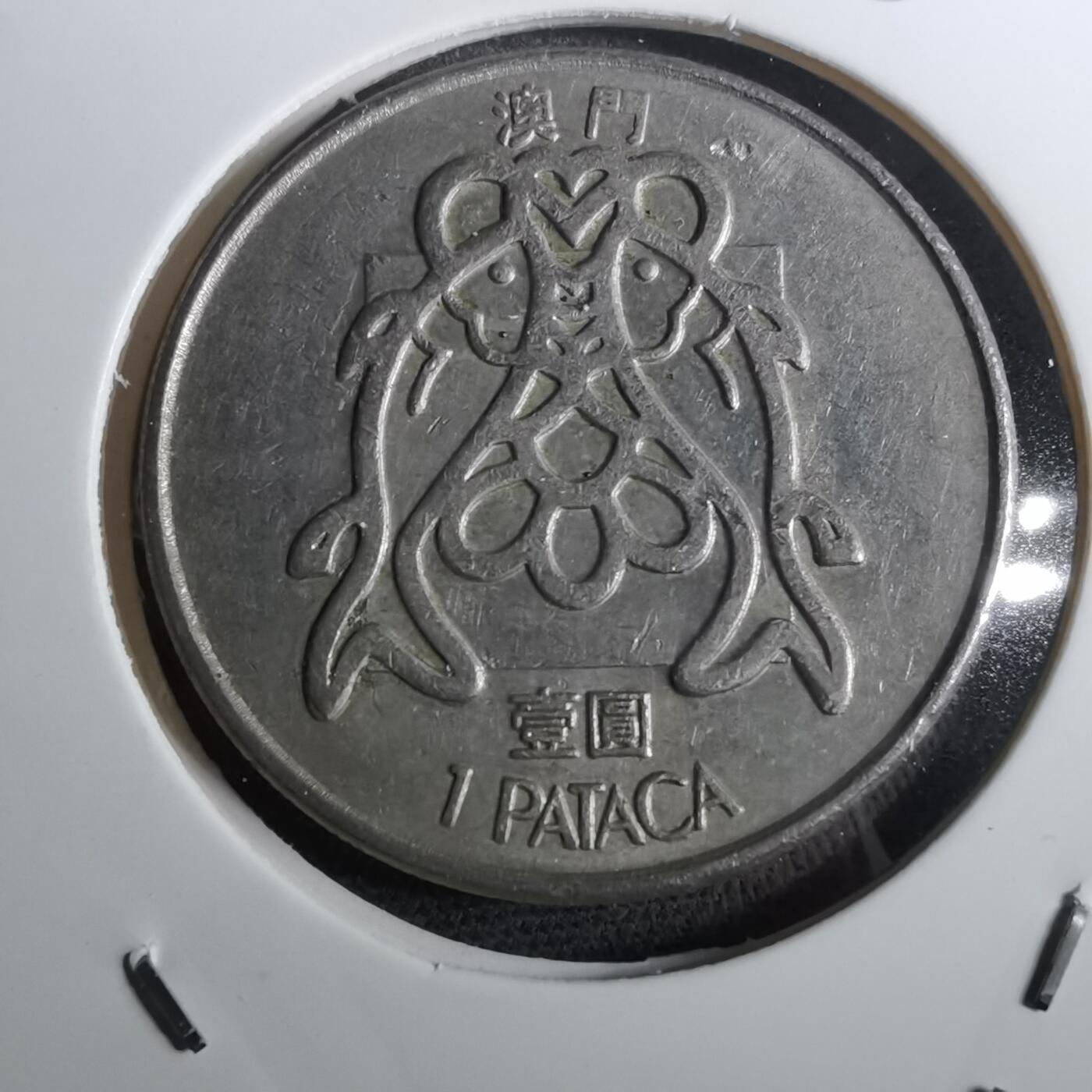 沼泽如烟--第950场