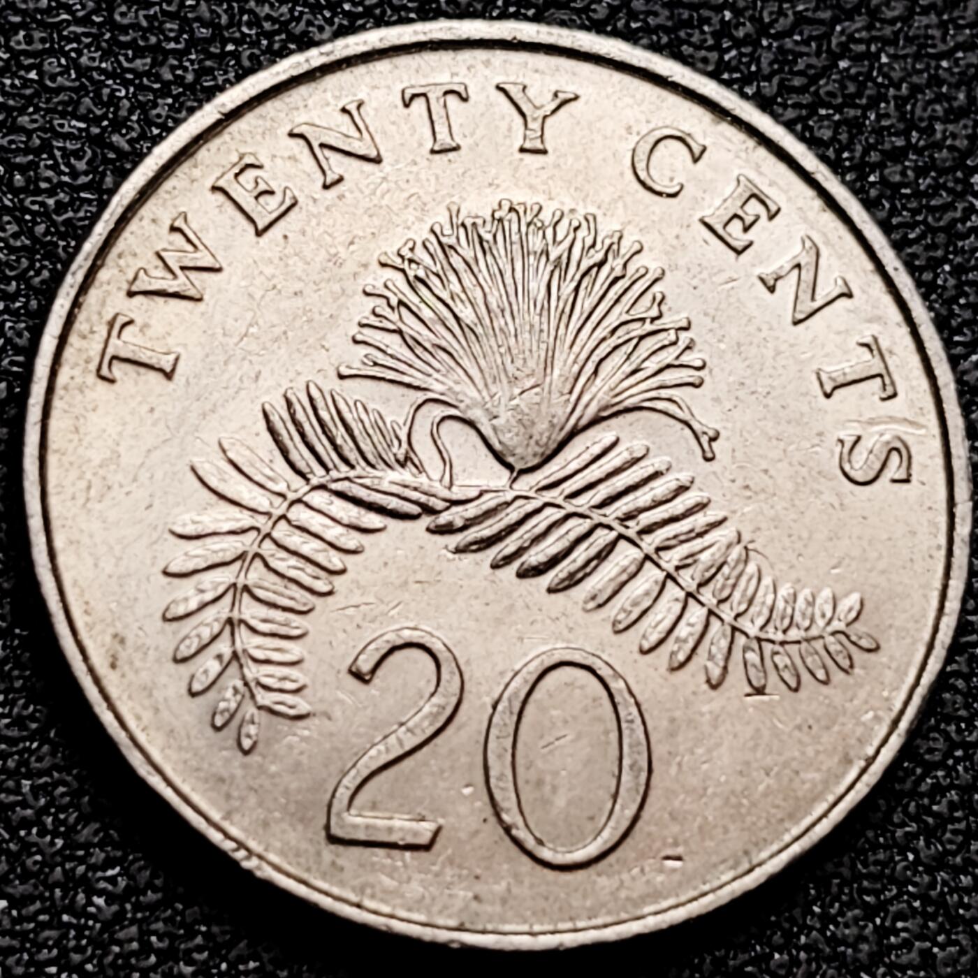 泉币菌-第159场-新年第二场 精品福利场 。