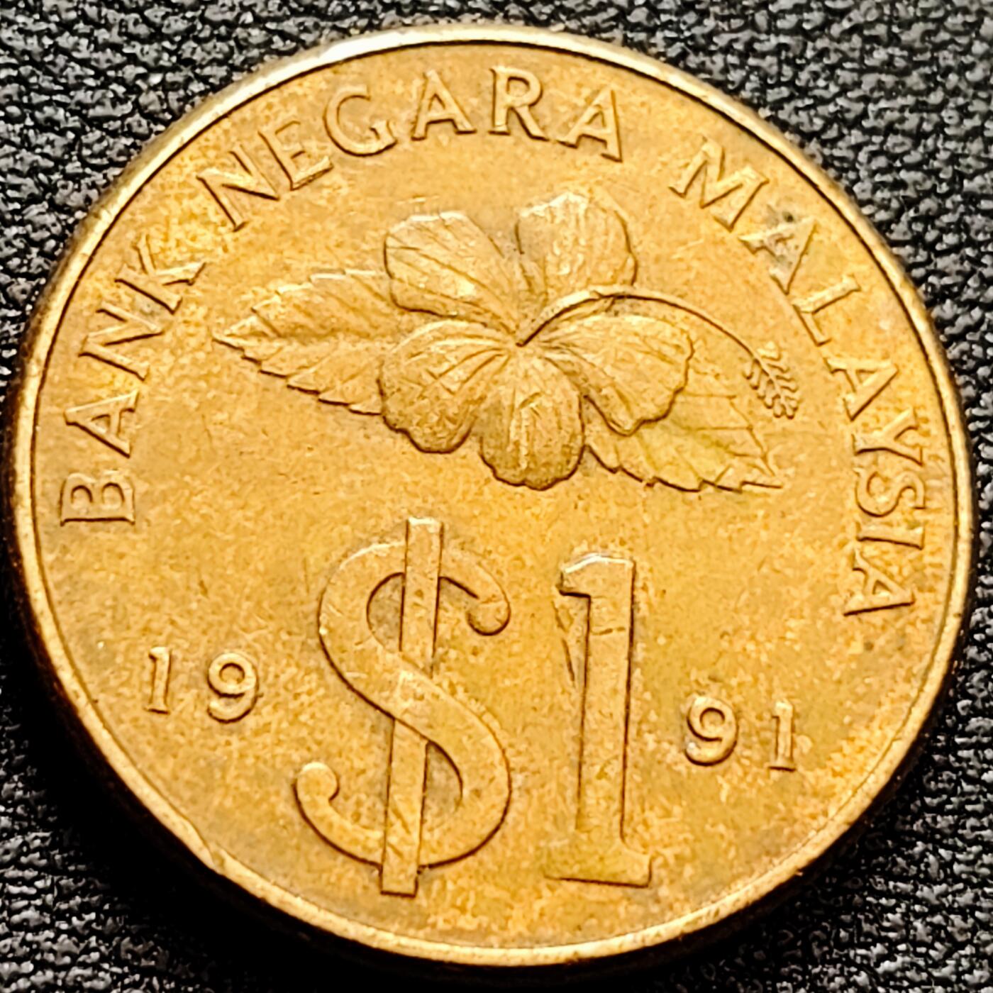 泉币菌-第159场-新年第二场 精品福利场 。