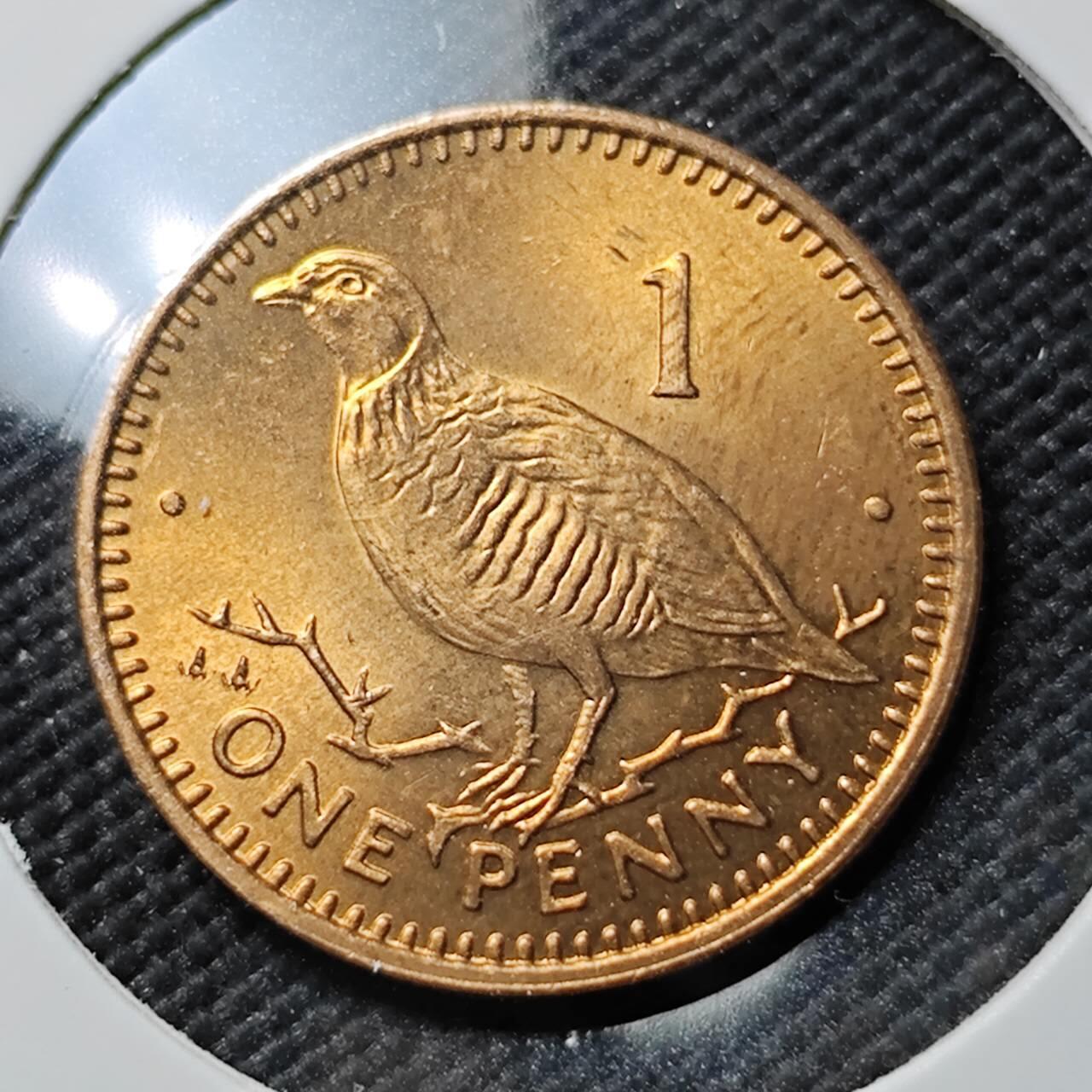 KK钱币收藏小铺  第384期  2月预留时间 周末发货