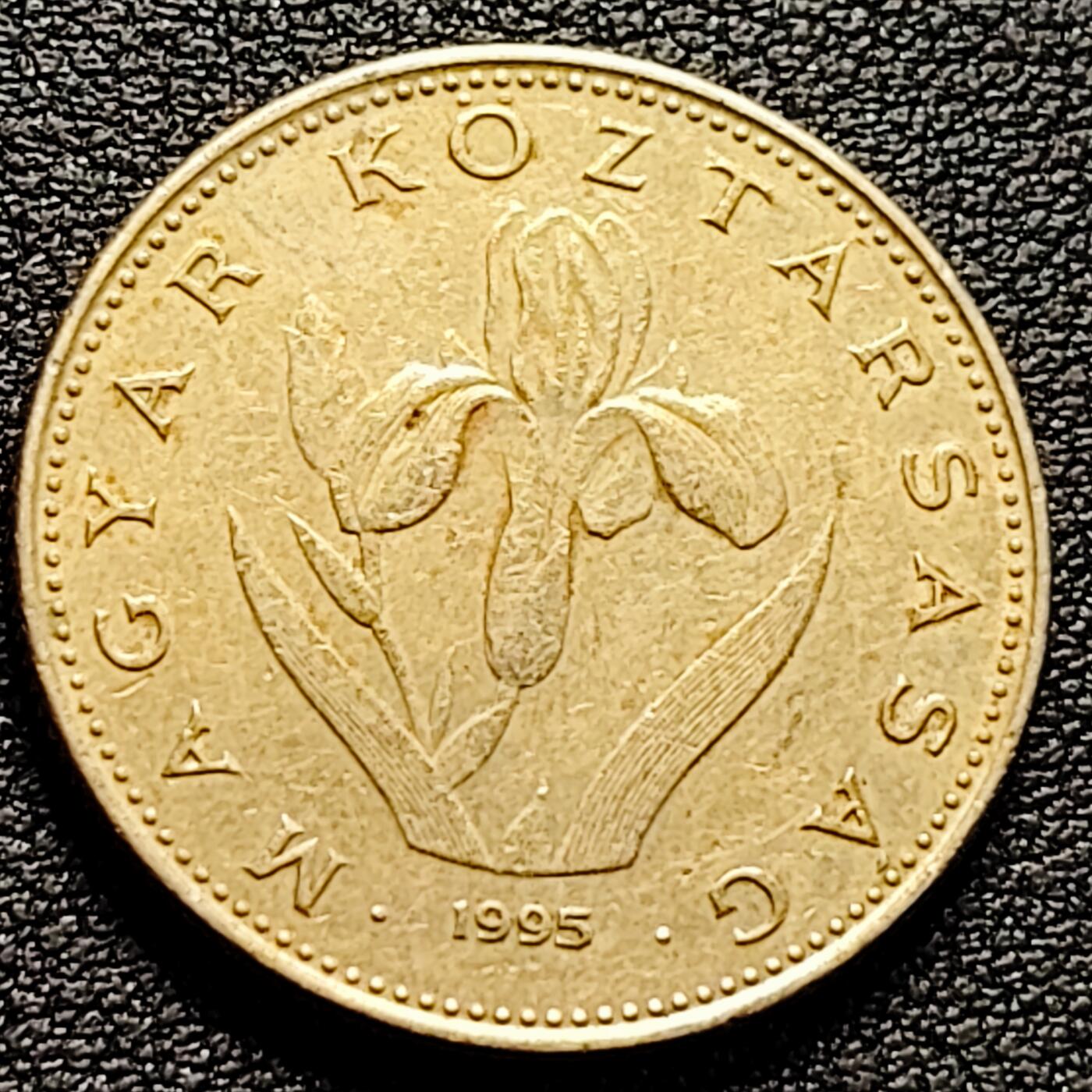 泉币菌-第161场-新年第四场 精品福利场 。