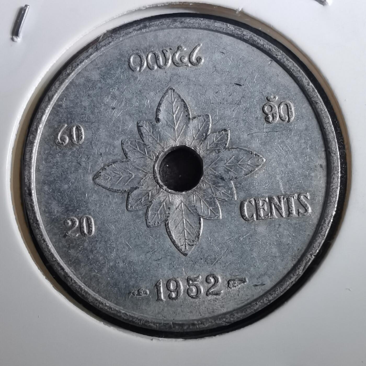 沼泽如烟--第950场