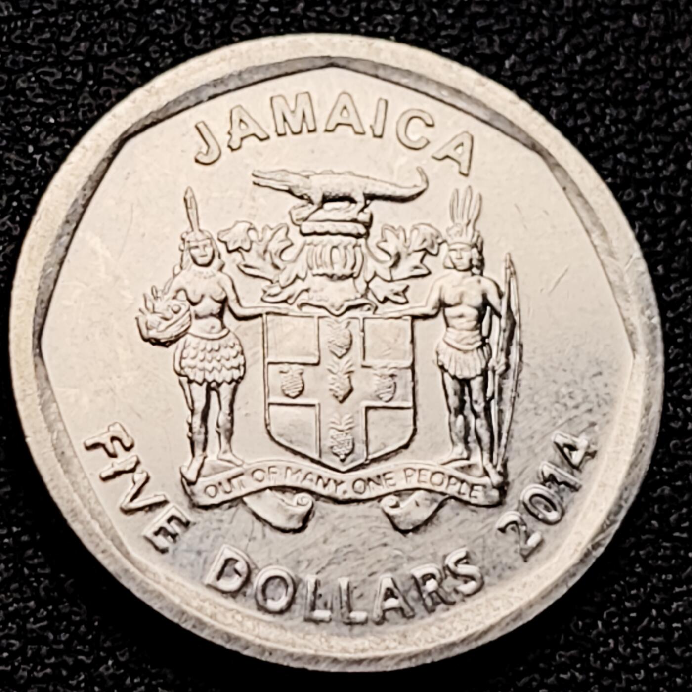 泉币菌-第161场-新年第四场 精品福利场 。