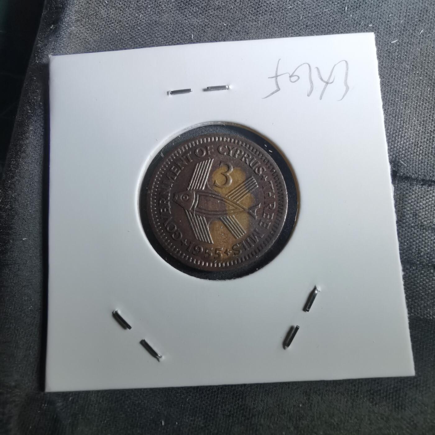 沼泽如烟--第950场