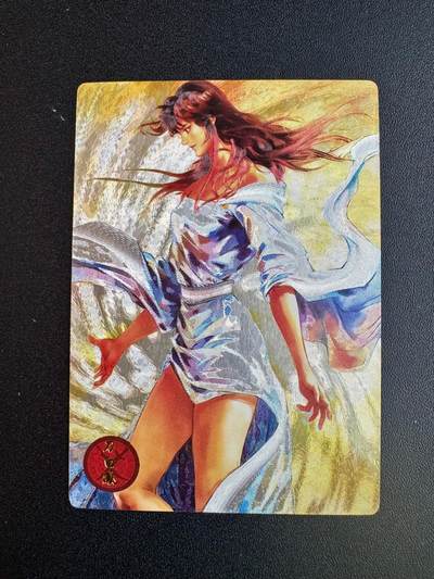 NO.20 好又多金牌大场，新年马到成功！新店点关注不迷路！每周一站式配齐，方便凑单！（周6晚8点截拍，卖家送拍0抽成！） - 奇点卡牌 天龙八部 刀白凤