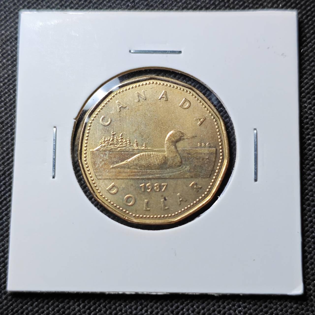 KK钱币收藏小铺  第384期  2月预留时间 周末发货  加拿大1元好品