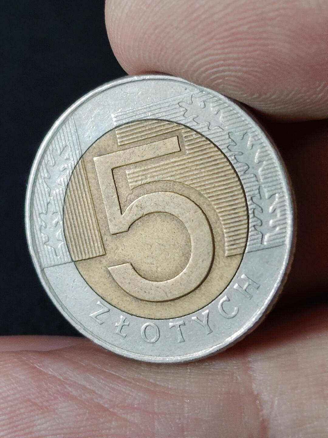 猩哥外币小铺➨【第216场】 波兰