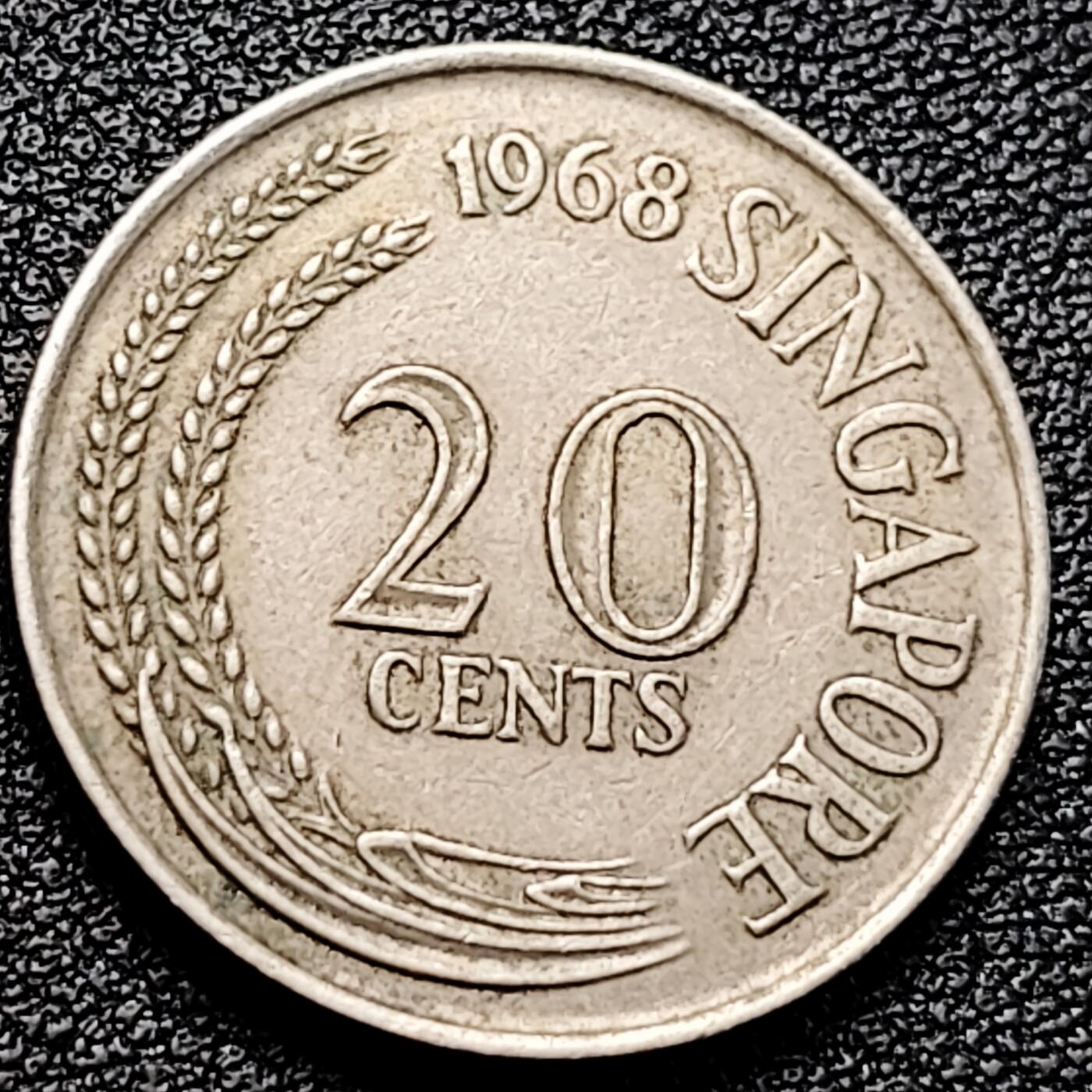 泉币菌-第161场-新年第四场 精品福利场 。