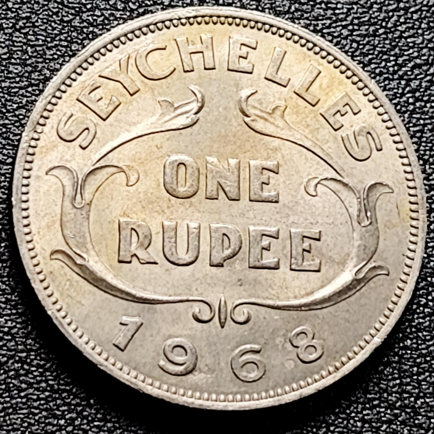 泉币菌-第161场-新年第四场 精品福利场 。