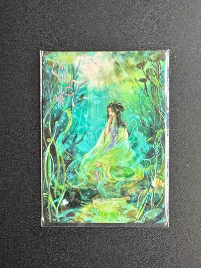 NO.20 好又多金牌大场，新年马到成功！新店点关注不迷路！每周一站式配齐，方便凑单！（周6晚8点截拍，卖家送拍0抽成！） - 【96/199编】趣卡社 西游 悟空归来 琉璃记