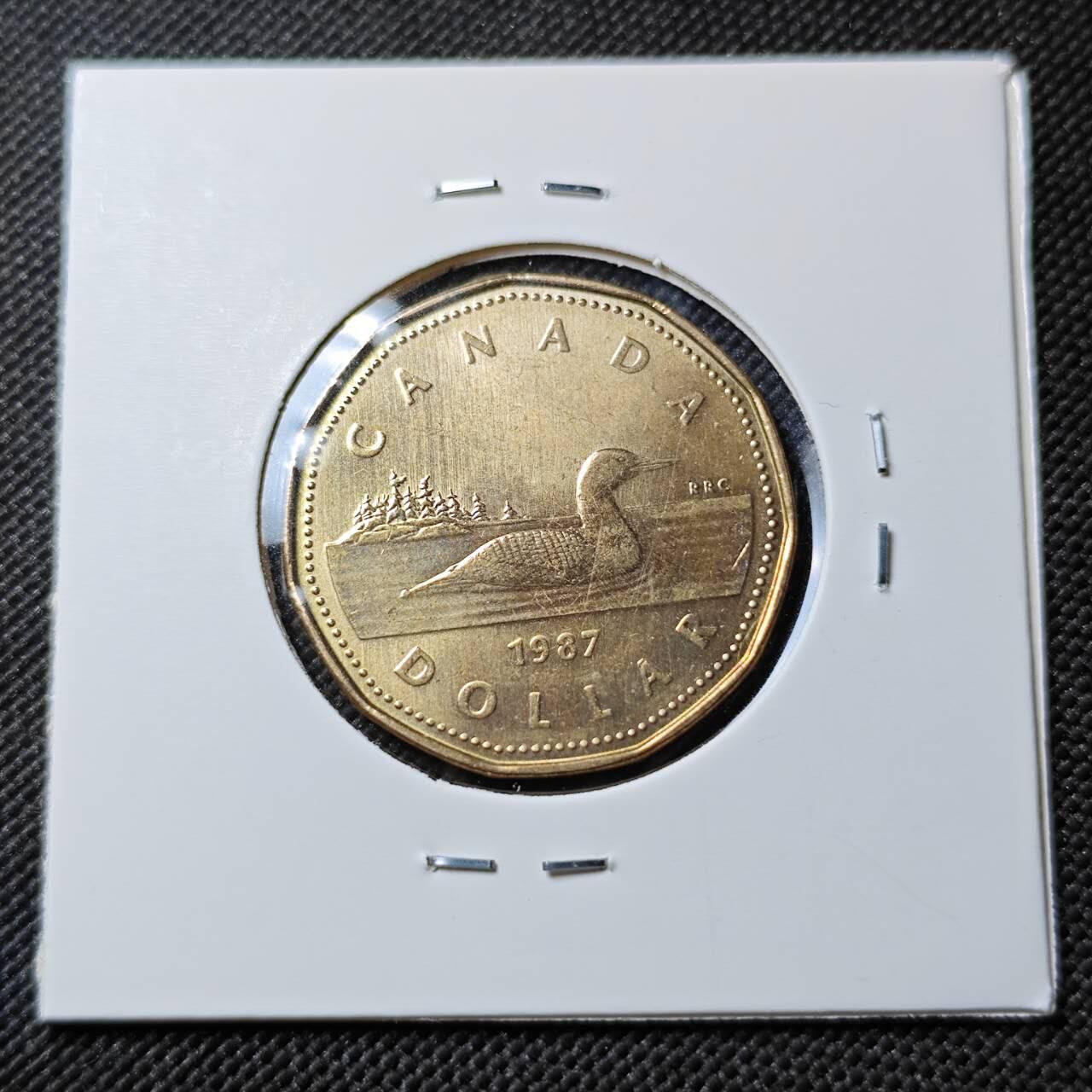 KK钱币收藏小铺  第384期  2月预留时间 周末发货  1987加拿大1元好品