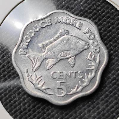 KK钱币收藏小铺  第384期  2月预留时间 周末发货 -  1977塞舌尔5分 