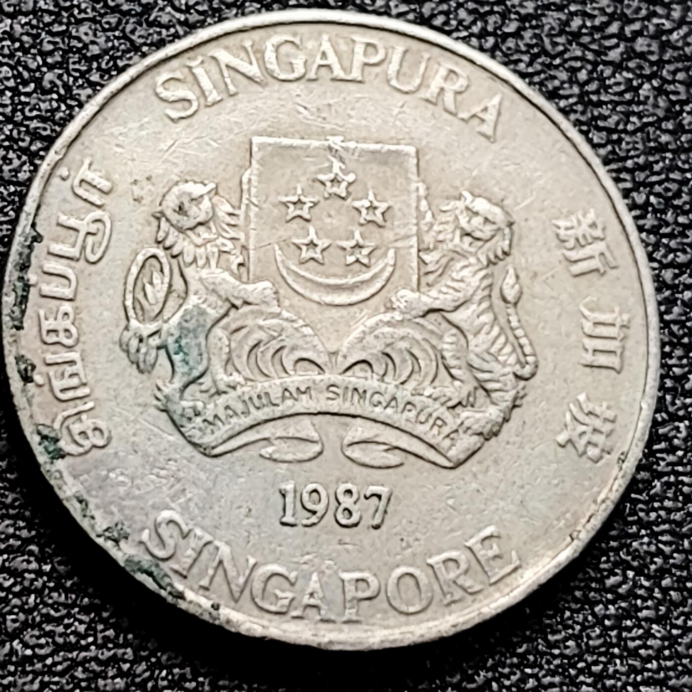 泉币菌-第161场-新年第四场 精品福利场 。