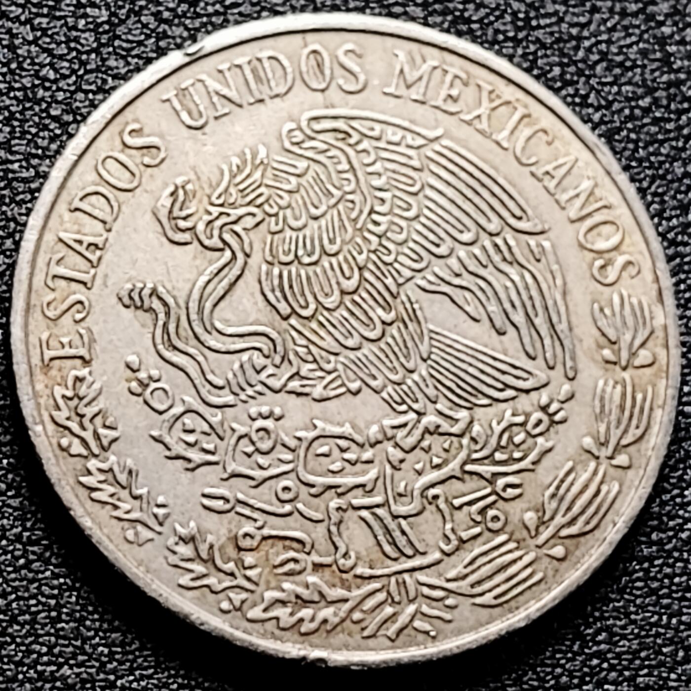 泉币菌-第161场-新年第四场 精品福利场 。