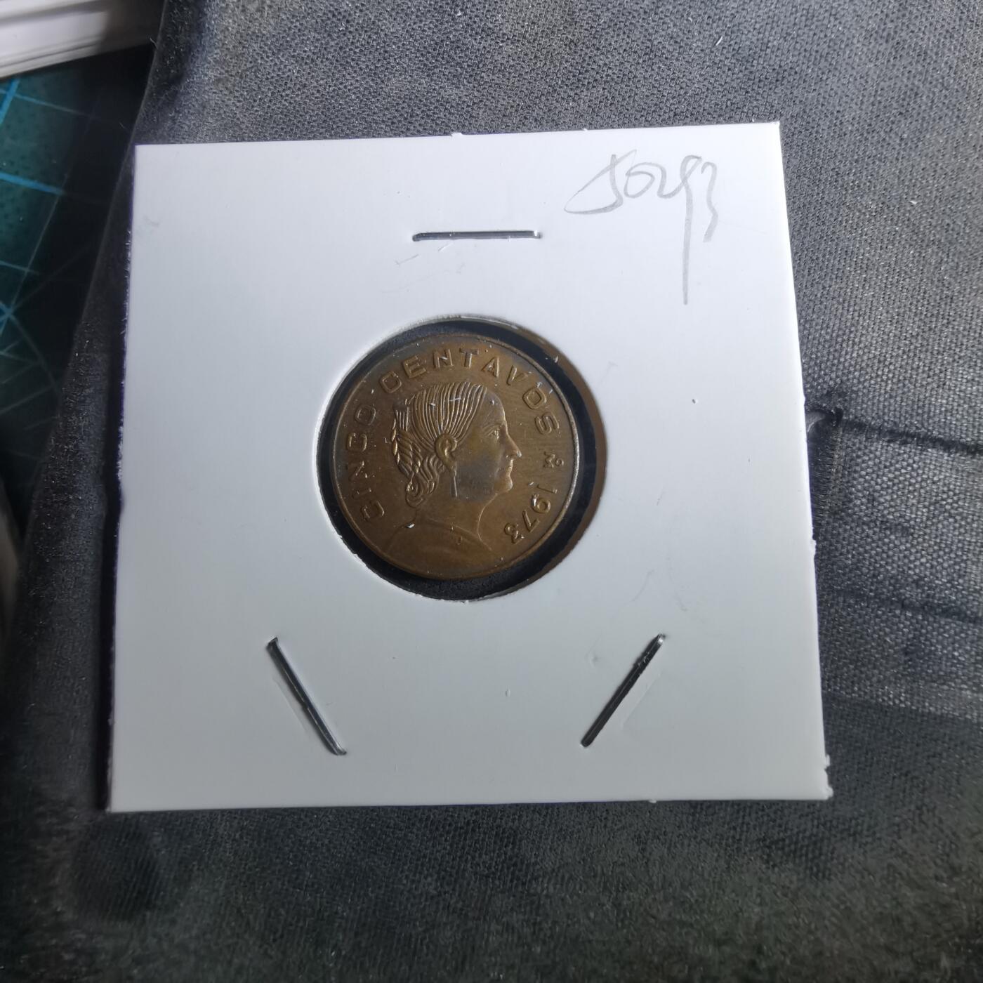 沼泽如烟--第950场