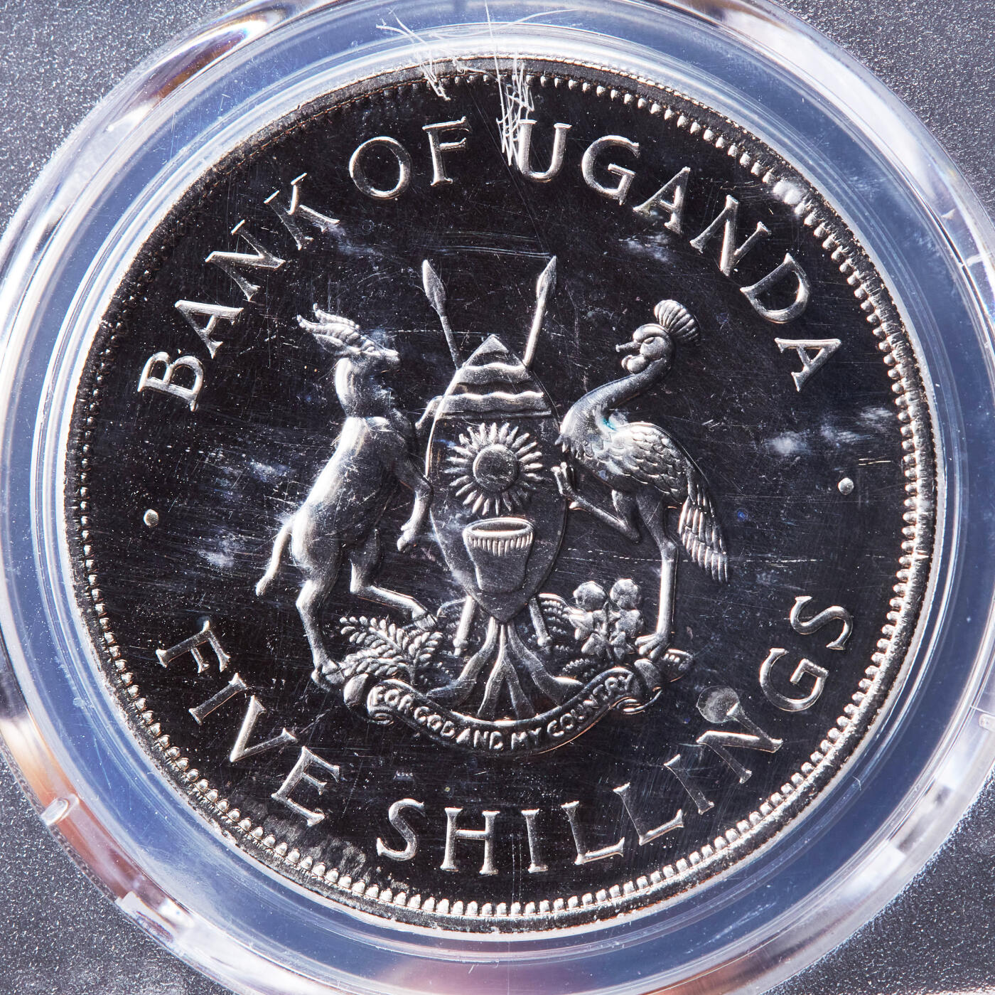 【俄甄集藏】2026年(046)01-07 星期三 晚 19:30 全场包邮