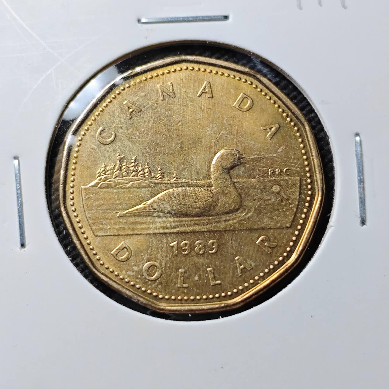 KK钱币收藏小铺  第384期  2月预留时间 周末发货  加拿大一元好品