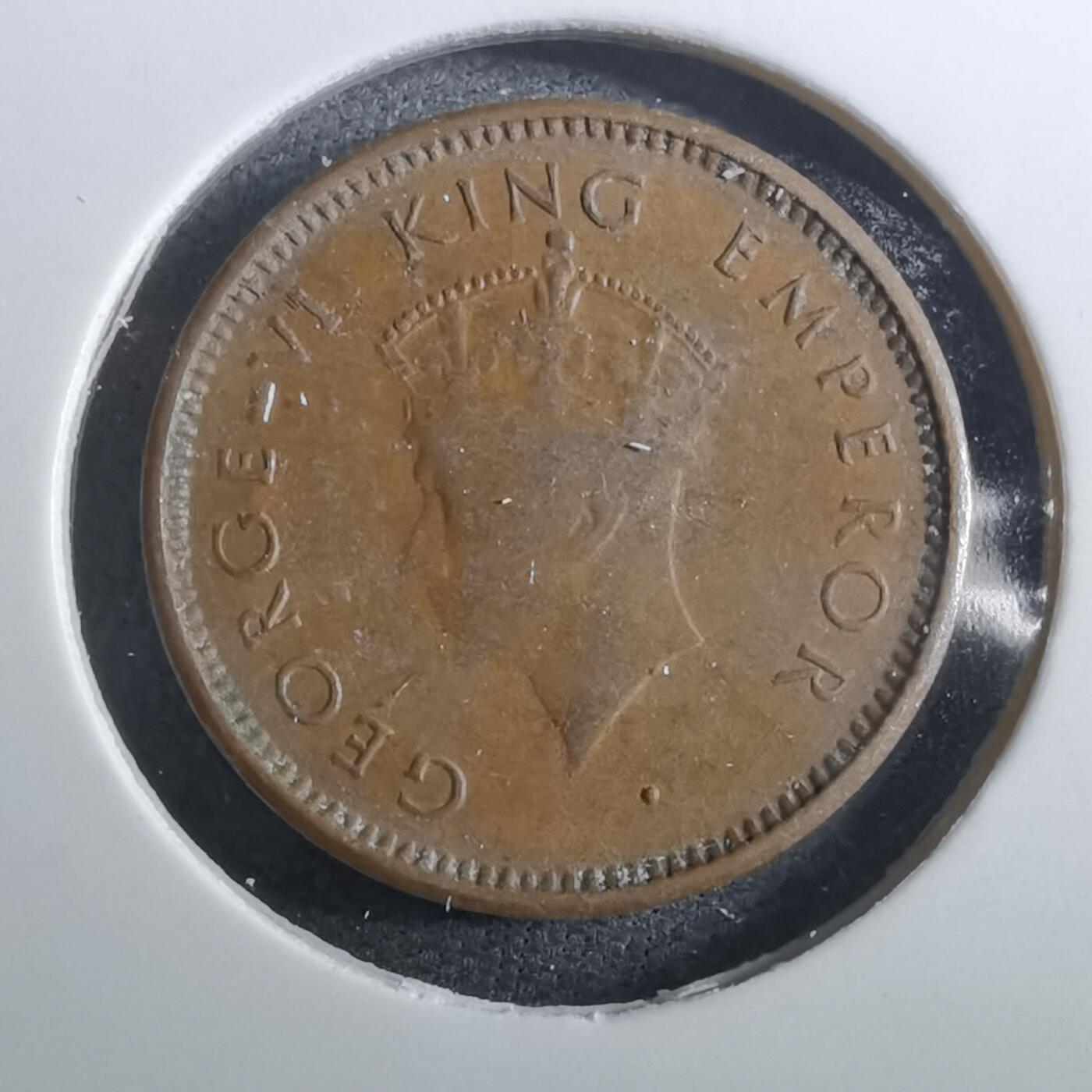 沼泽如烟--第950场