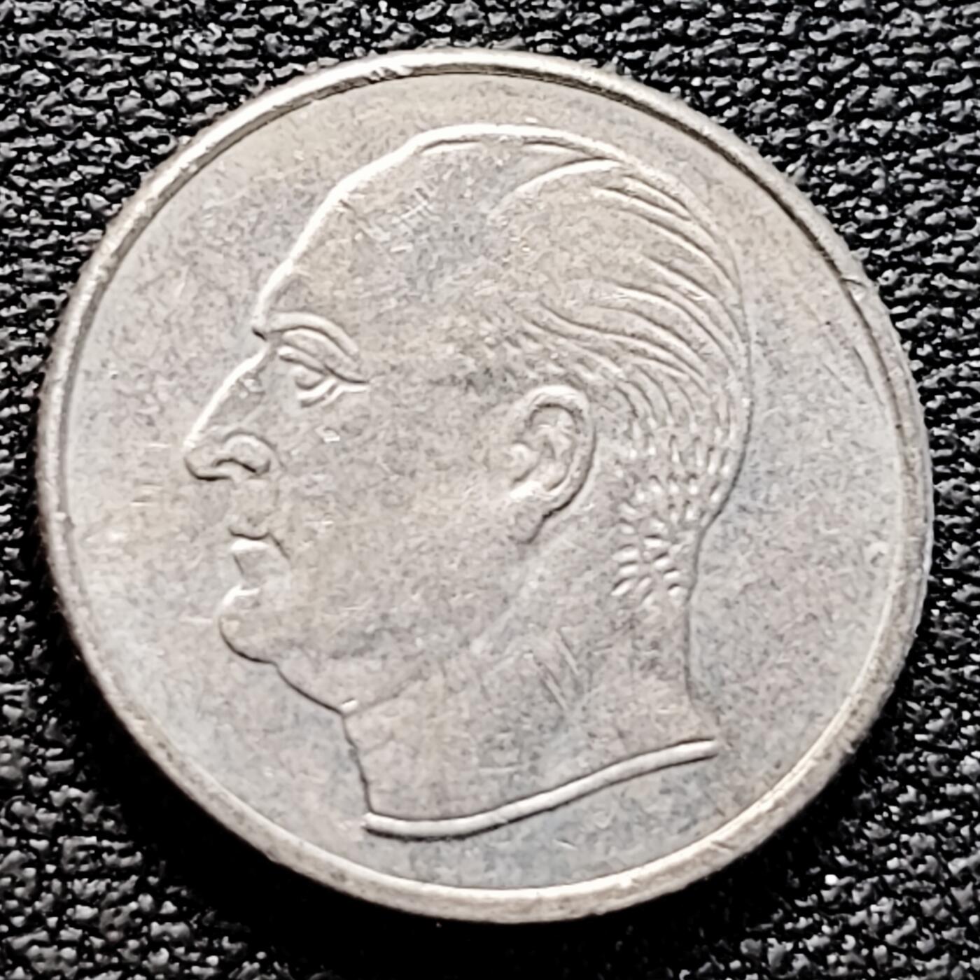 泉币菌-第161场-新年第四场 精品福利场 。