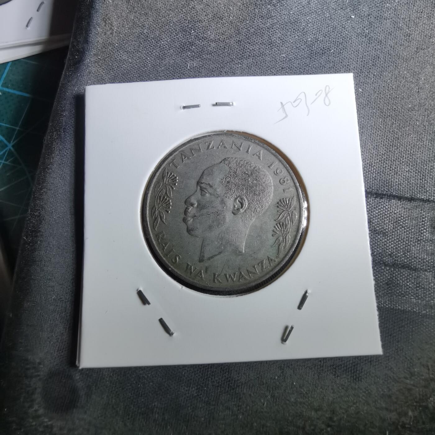 沼泽如烟--第950场