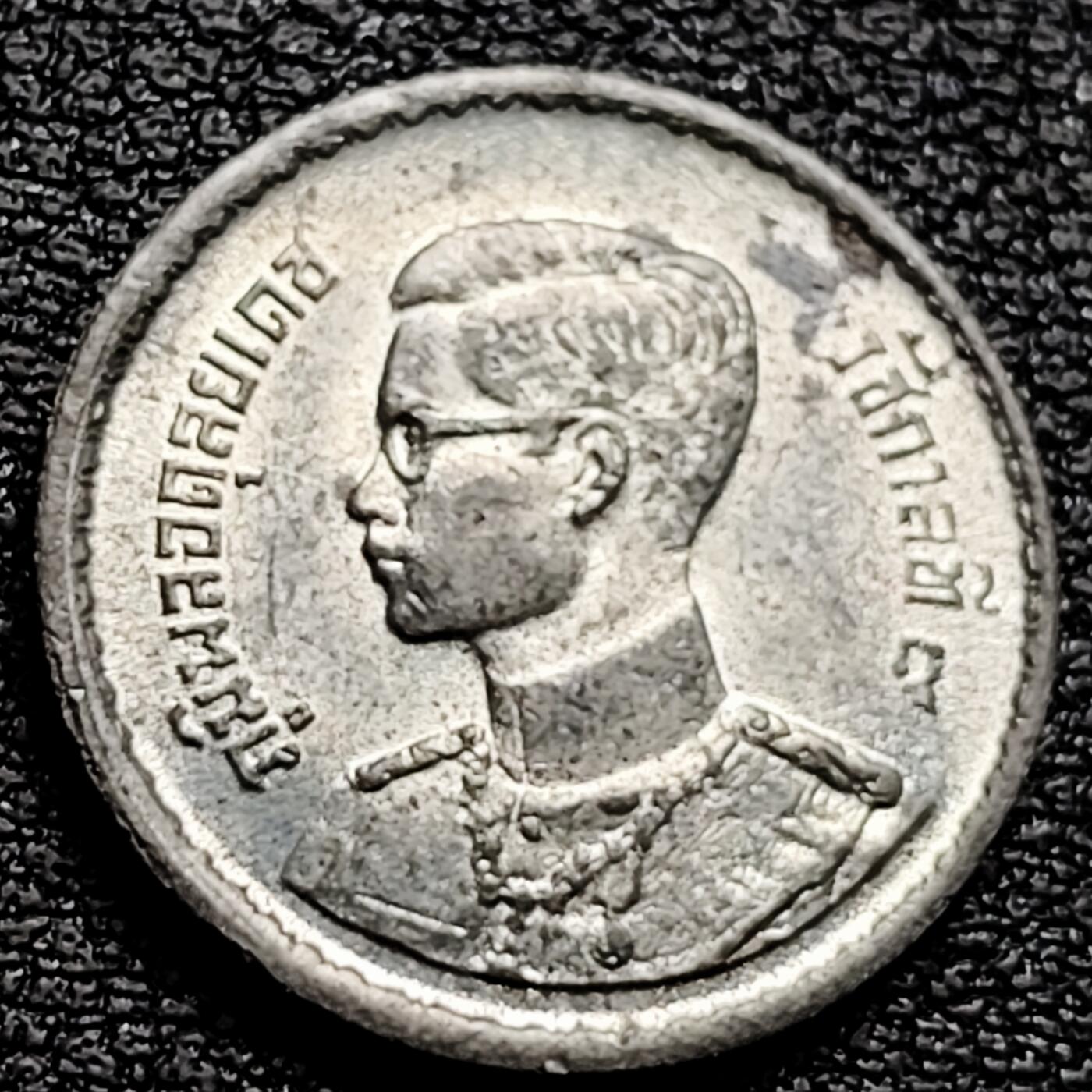 泉币菌-第161场-新年第四场 精品福利场 。