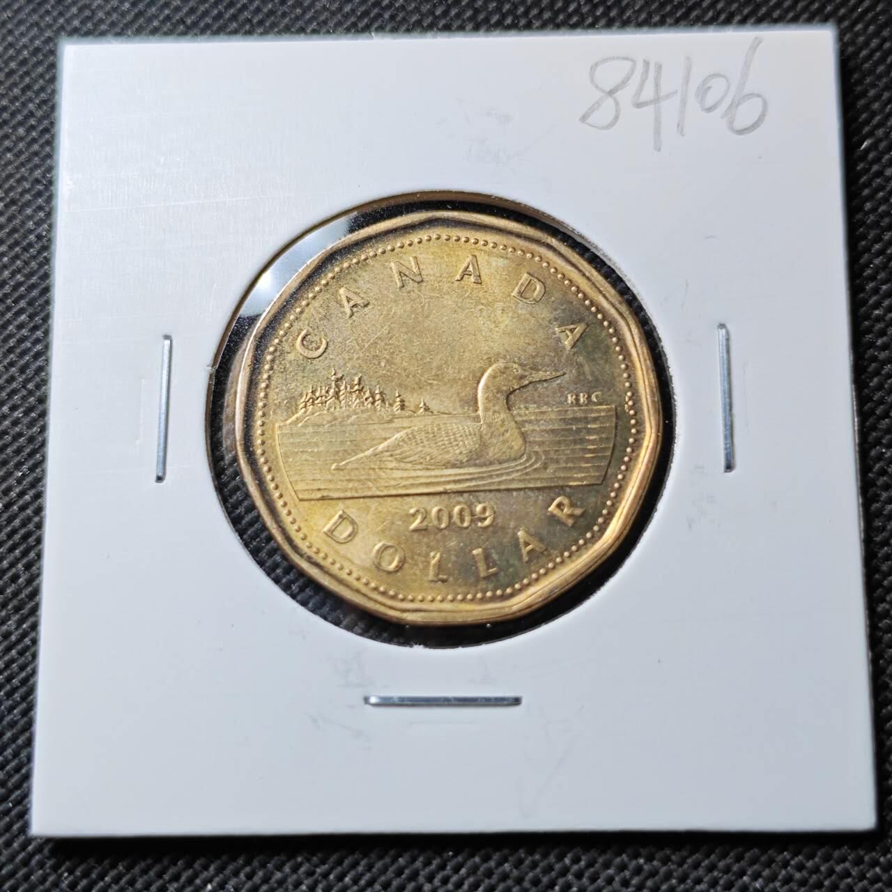 KK钱币收藏小铺  第384期  2月预留时间 周末发货  加拿大1元 好品