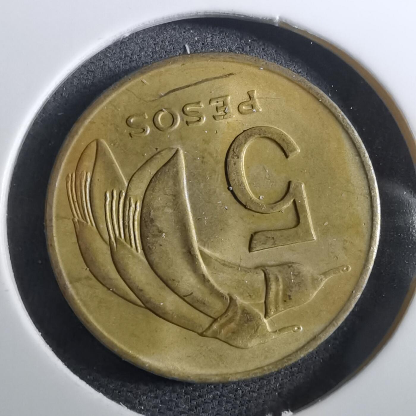 沼泽如烟--第950场