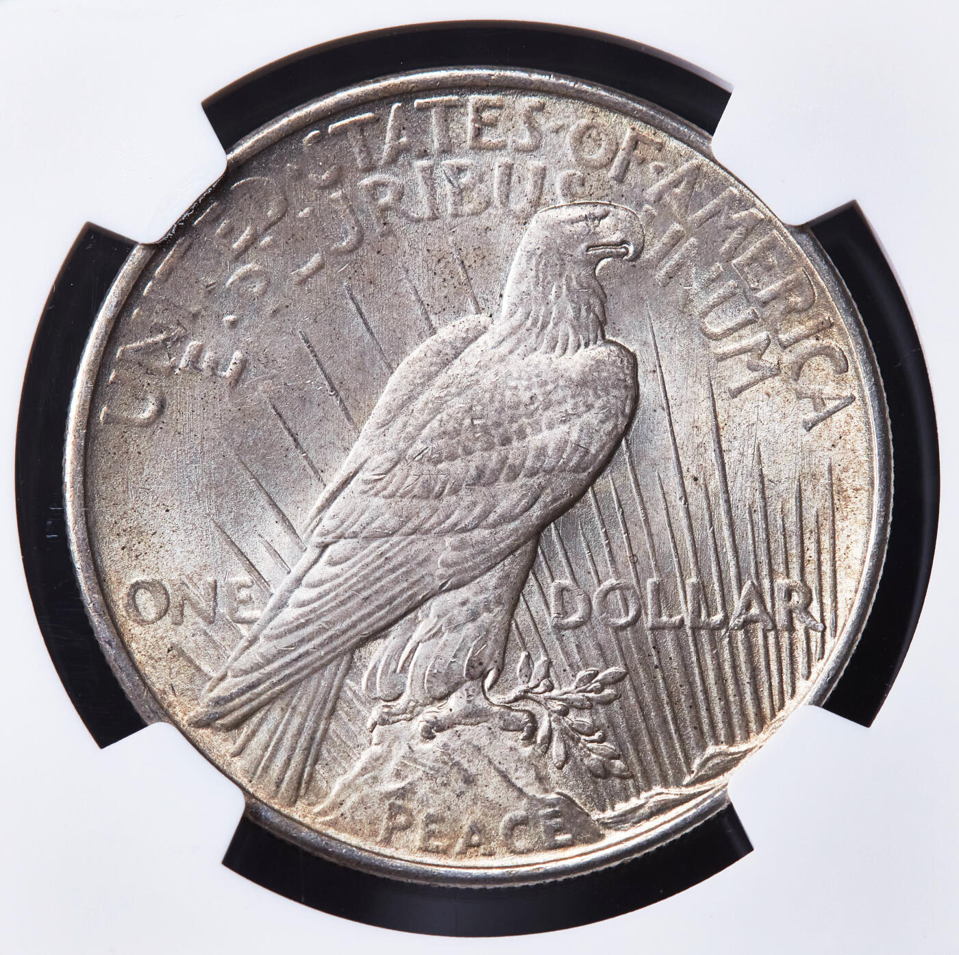 【俄甄集藏】2026年(046)01-07 星期三 晚 19:30 全场包邮 美国1925年和平1美元大银币，NGC MS63，黄油彩，车轮转光，少见年份