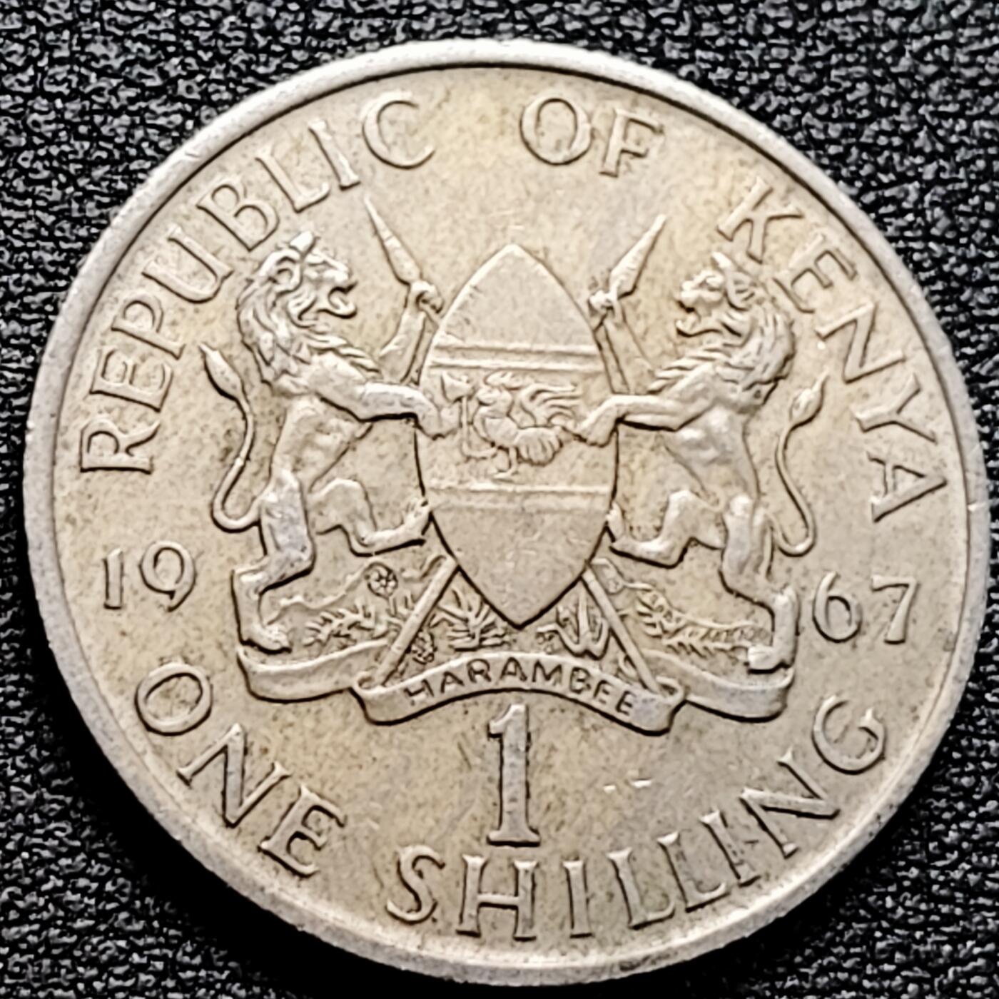 泉币菌-第161场-新年第四场 精品福利场 。