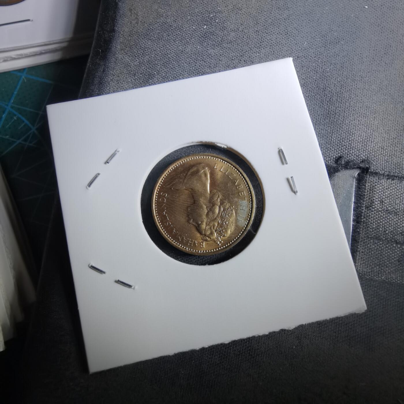 沼泽如烟--第950场