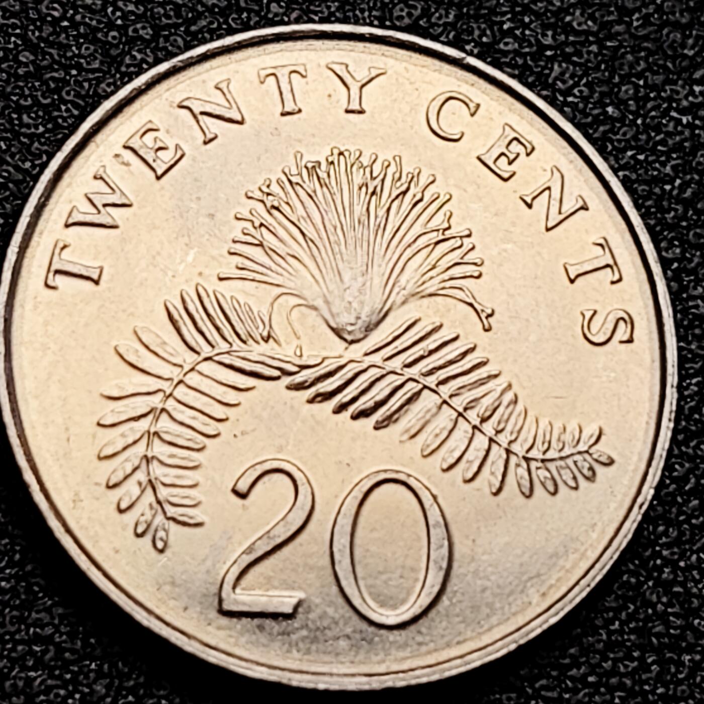 泉币菌-第161场-新年第四场 精品福利场 。