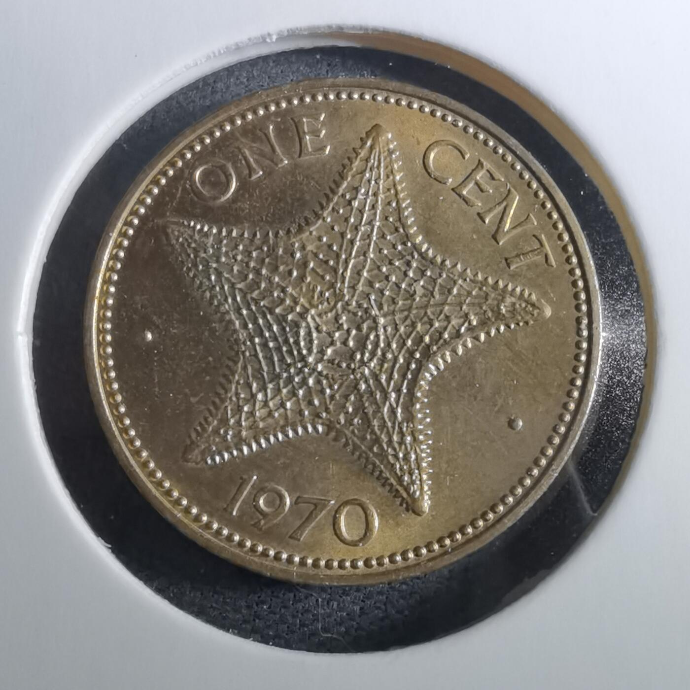 沼泽如烟--第950场