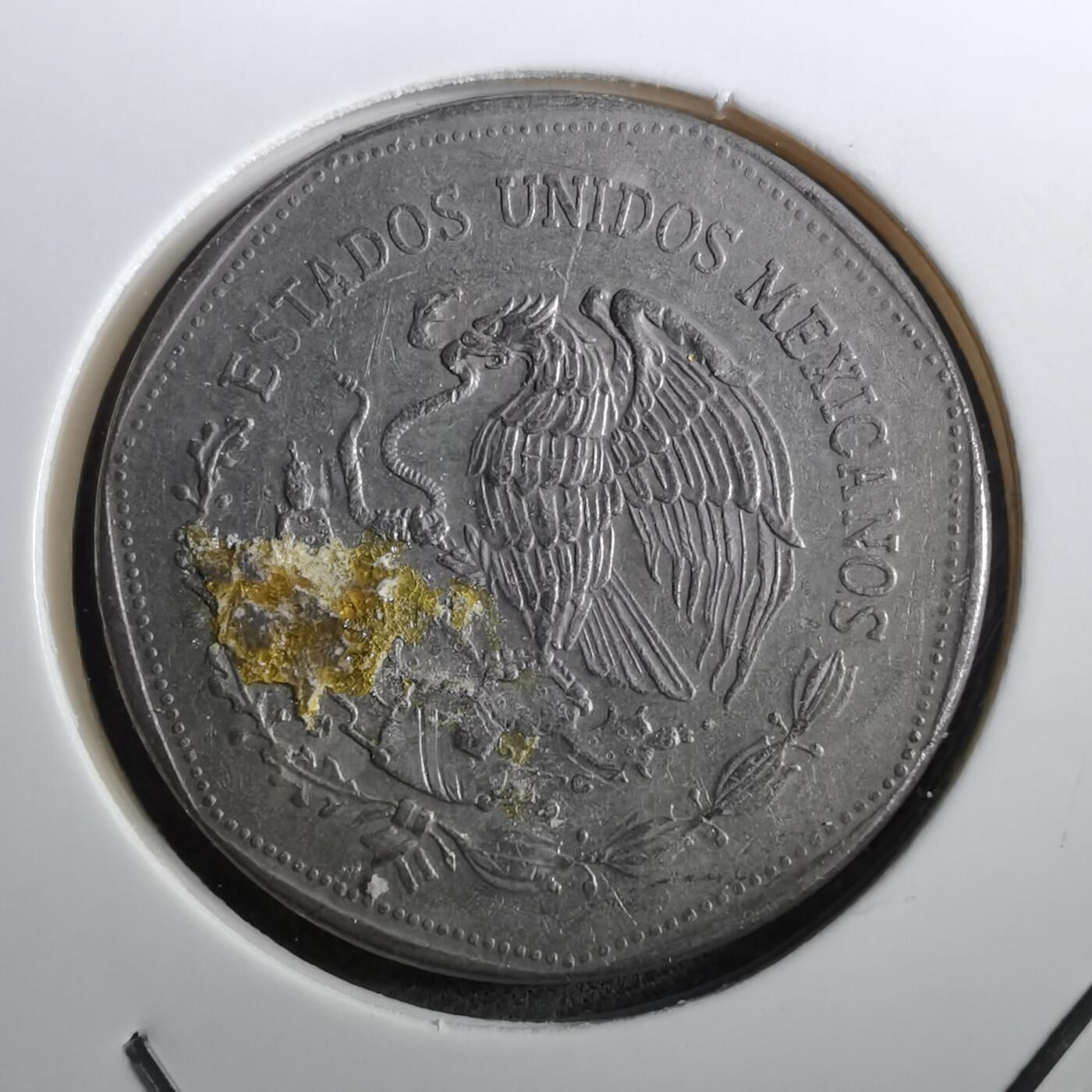 沼泽如烟--第950场