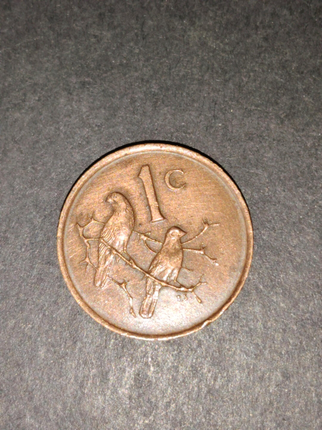 猩哥外币小铺➨【第216场】 南非