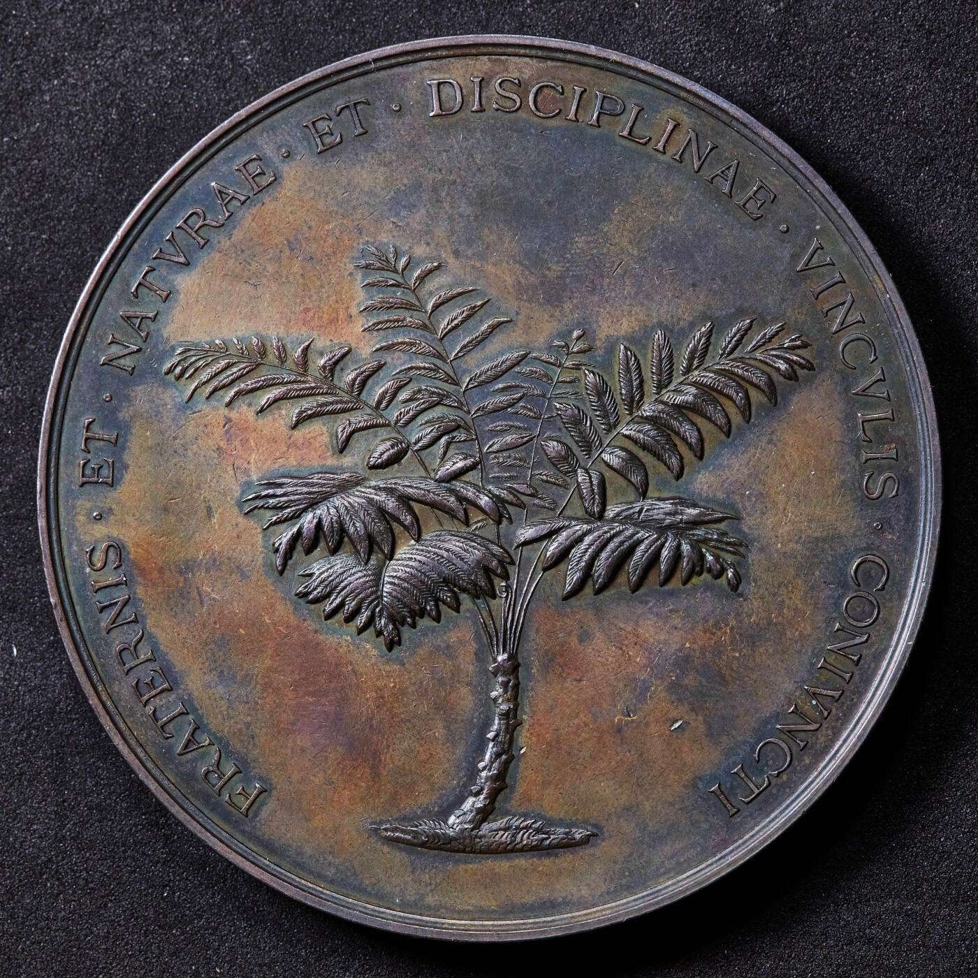 【俄甄集藏】2026年(046)01-07 星期三 晚 19:30 全场包邮 奥地利1831年纪念捷克博物学家普雷斯尔兄弟大铜章，直径：69mm，重量：130克，高浮雕，稀少品种