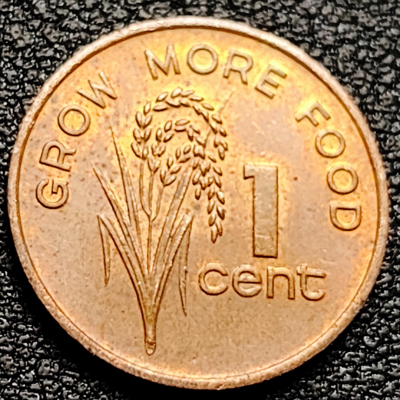 泉币菌-第161场-新年第四场 精品福利场 。