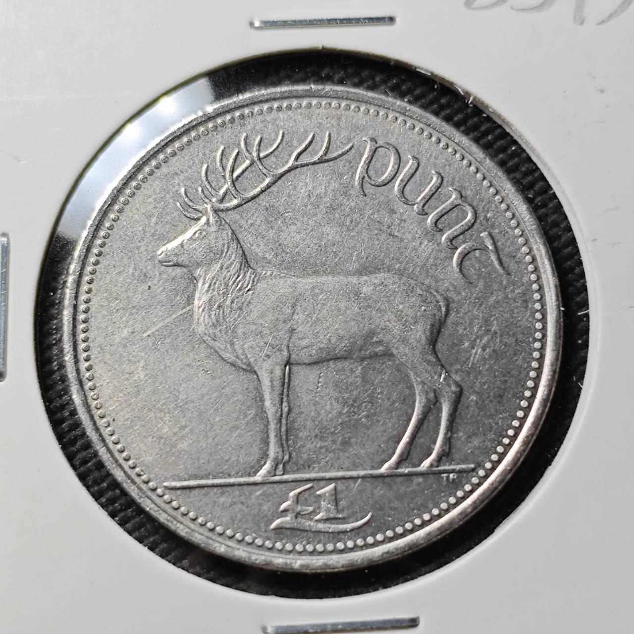 KK钱币收藏小铺  第383期  2月预留时间 周末发货