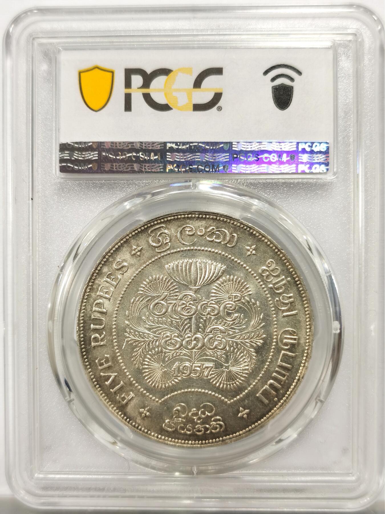 博洋堂“岁启嘉年”2026新年精品大拍专场暨第155期（全场包邮）