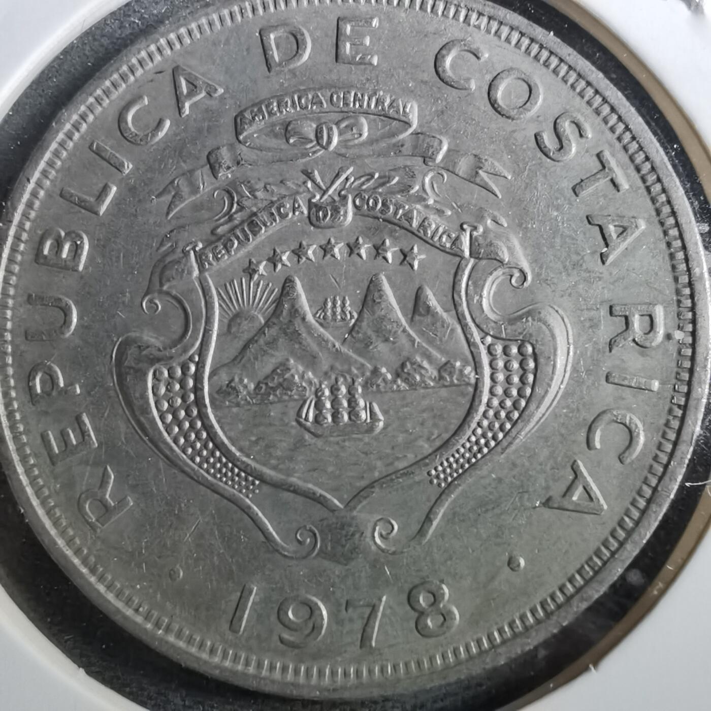 沼泽如烟--第950场