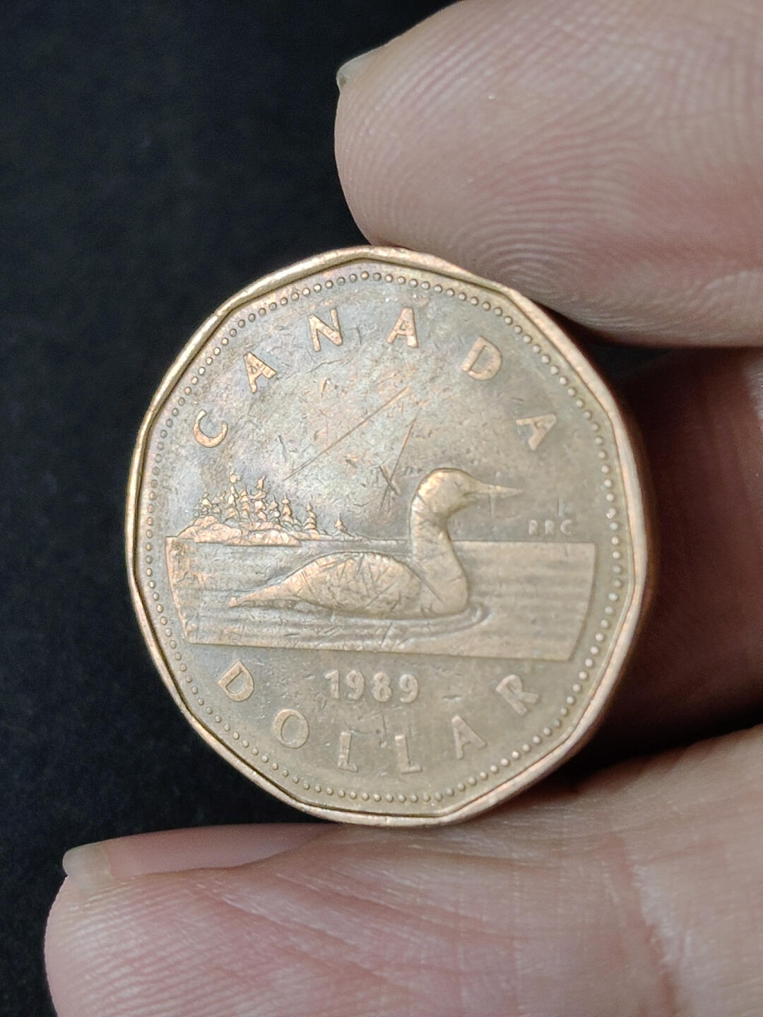 猩哥外币小铺➨【第216场】 加拿大