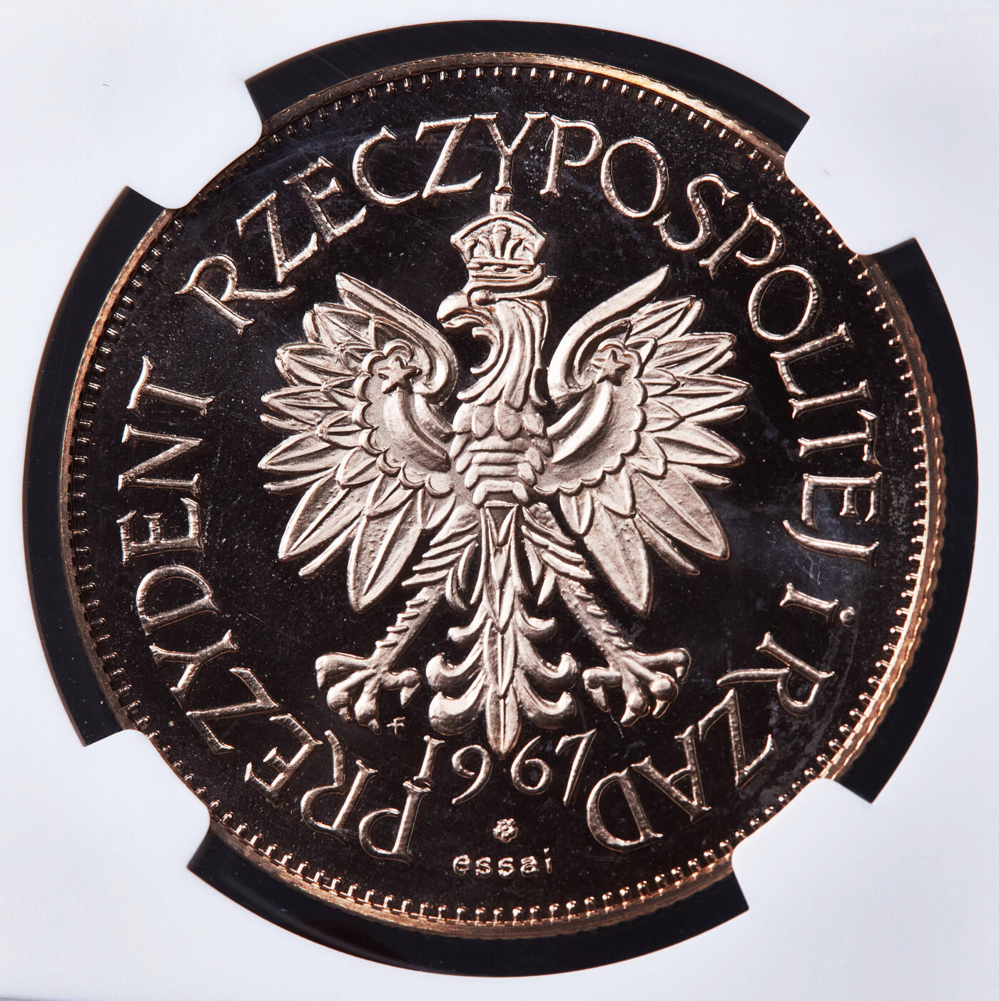 【俄甄集藏】2026年(046)01-07 星期三 晚 19:30 全场包邮