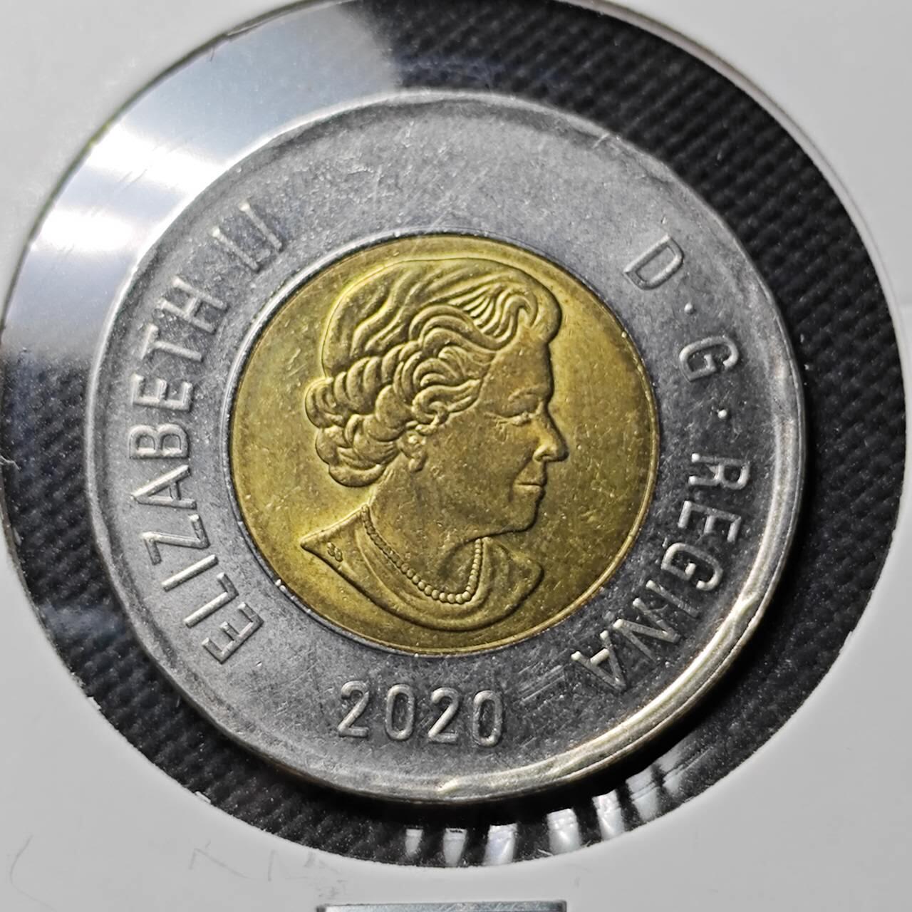 KK钱币收藏小铺  第384期  2月预留时间 周末发货