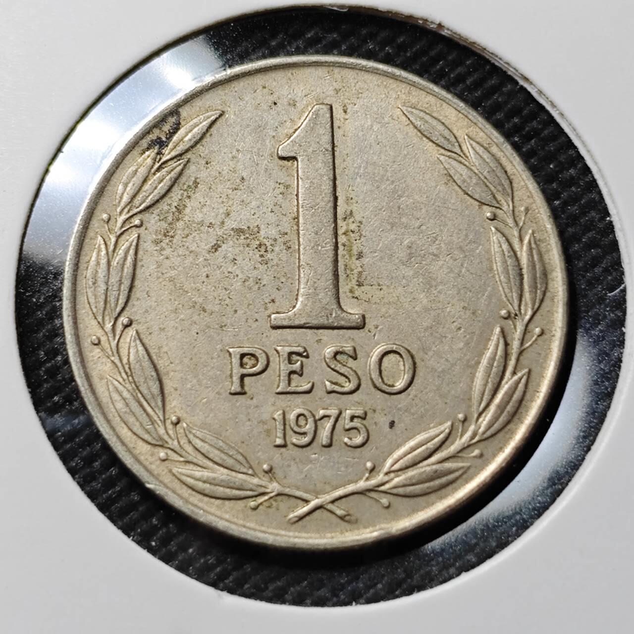 KK钱币收藏小铺  第385期  2月预留时间 周末发货