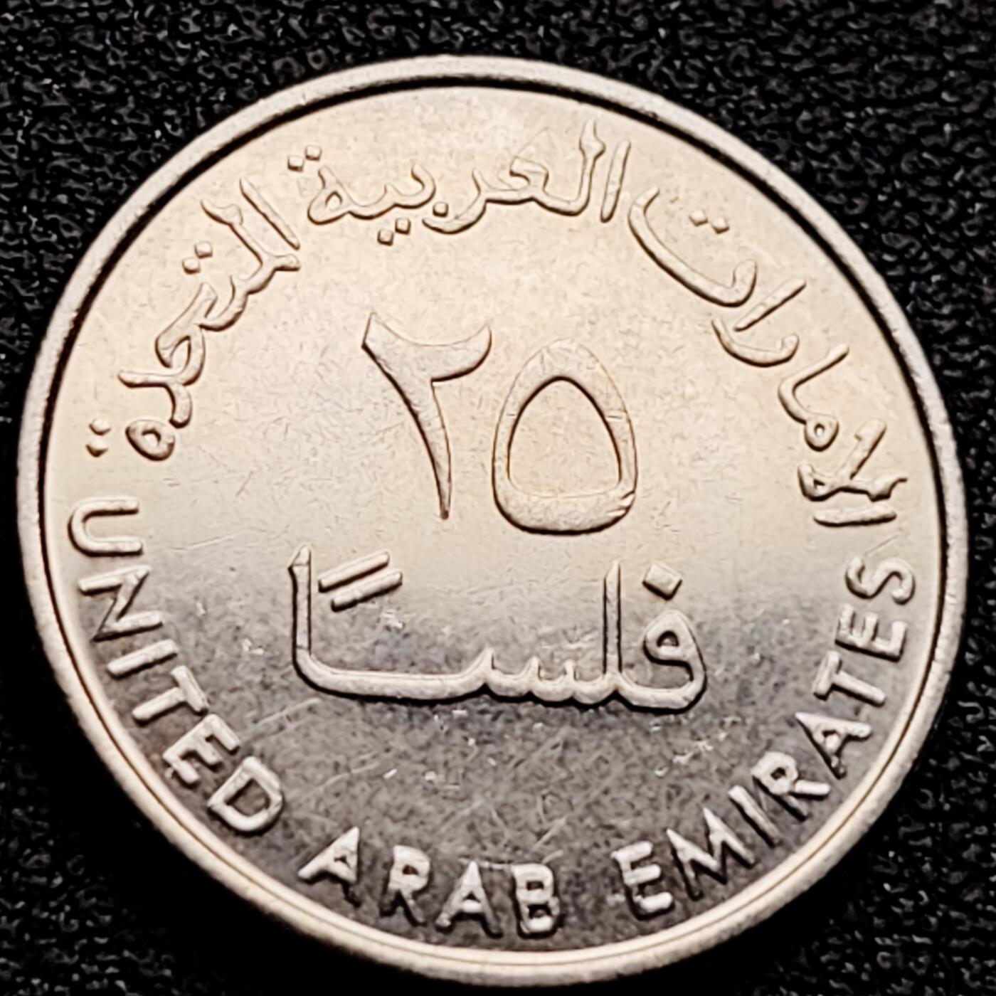 泉币菌-第161场-新年第四场 精品福利场 。